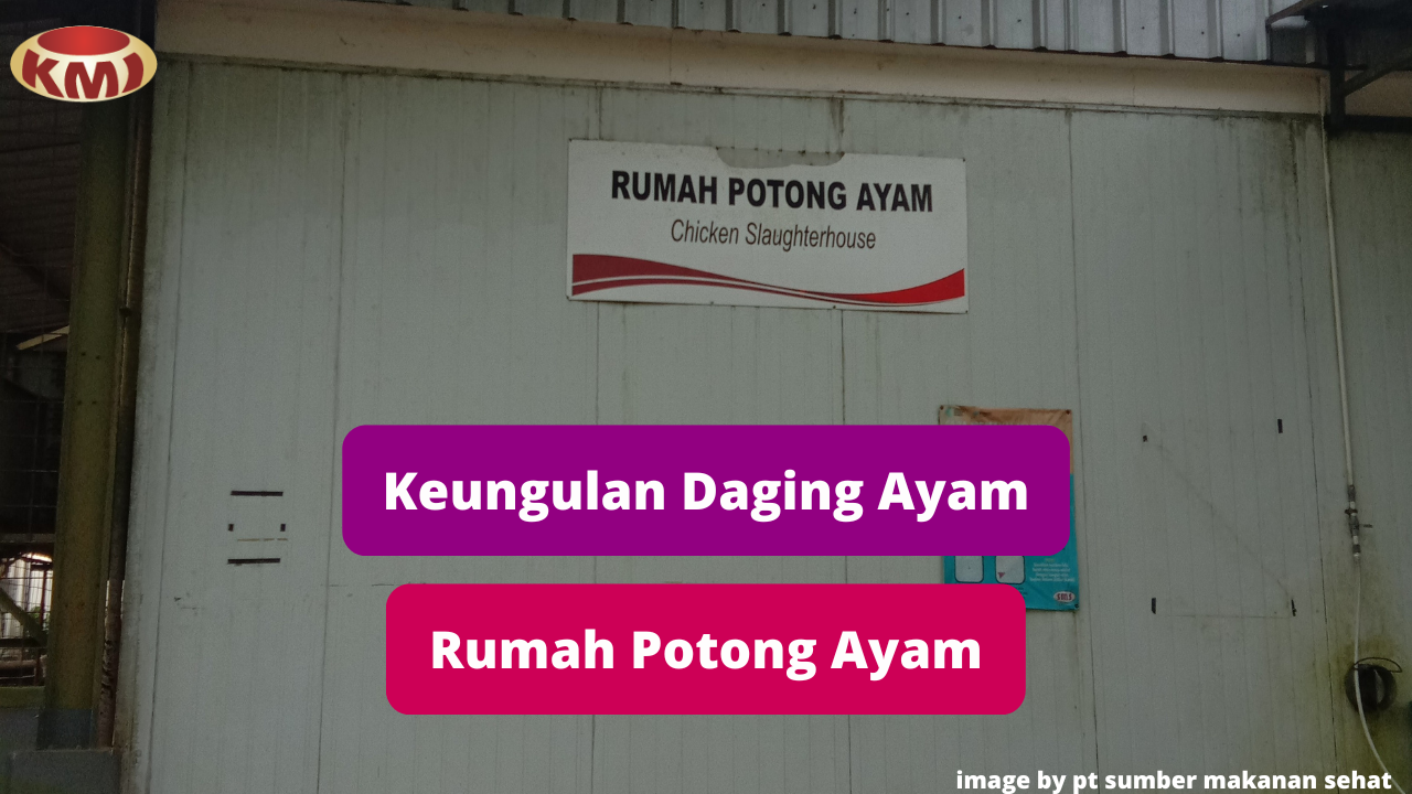 Berikut 6 Keuntungan Membeli Daging Ayam di Rumah Potong Ayam